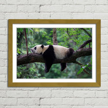 Load image into Gallery viewer, Sleeping Panda China