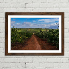 Load image into Gallery viewer, Coffee Plantation Pleiku Vietnam