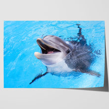 Load image into Gallery viewer, Dolphin Smiling Cute