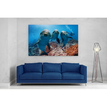 Load image into Gallery viewer, Cute Dolphins Underwater