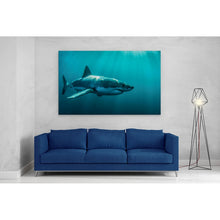 Load image into Gallery viewer, Great White Shark Jaws