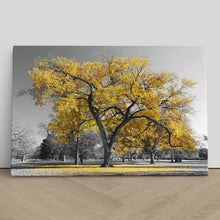 Load image into Gallery viewer, Large Tree with Yellow Leaves Central Park