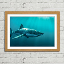 Load image into Gallery viewer, Great White Shark Jaws