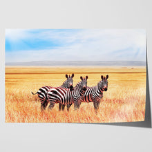 Load image into Gallery viewer, Zebras in Tanzania Savannah
