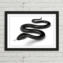 Load image into Gallery viewer, Black Snake with Forked Tongue