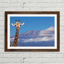 Load image into Gallery viewer, Giraffe near Mount Kilimanjaro