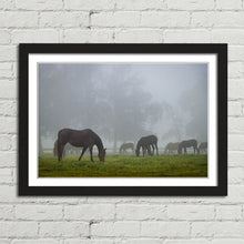 Load image into Gallery viewer, Horse Herd in Autumn