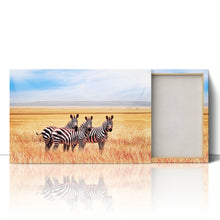 Load image into Gallery viewer, Zebras in Tanzania Savannah