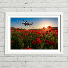 Load image into Gallery viewer, Spitfire over Poppy Field Sunset Remembrance
