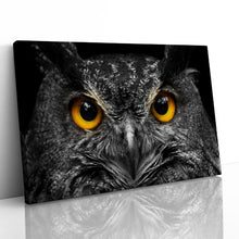 Load image into Gallery viewer, Cute Owl Staring