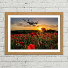 Load image into Gallery viewer, Poppy Field Spitfire Remembrance