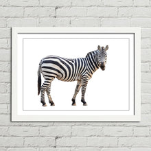Load image into Gallery viewer, Zebra Staring Close Up