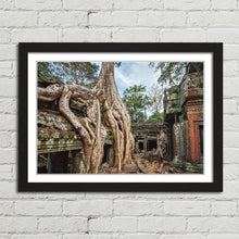 Load image into Gallery viewer, Ta Prohm Temple Tree Angkor
