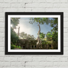 Load image into Gallery viewer, Ta Prohm Banyan Tree Angkor Wat