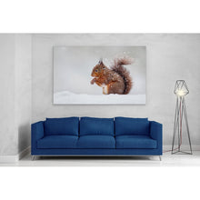 Load image into Gallery viewer, Red Squirrel in Snow England Winter