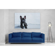 Load image into Gallery viewer, French Bulldog Puppy Cute Pet