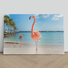 Load image into Gallery viewer, Pink Flamingo in Aruba