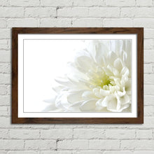 Load image into Gallery viewer, White Flower