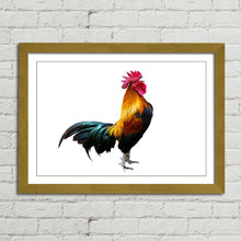 Load image into Gallery viewer, Rooster Cock Cockerel