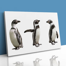 Load image into Gallery viewer, Cute Humboldt Penguin Family