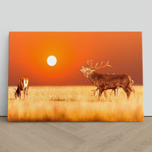 Load image into Gallery viewer, Red Deer Stag at Sunset
