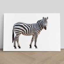 Load image into Gallery viewer, Zebra Staring Close Up