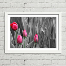 Load image into Gallery viewer, Pink Tulips in Black and White