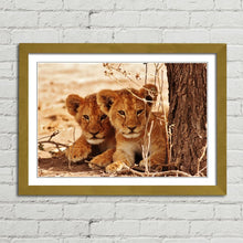 Load image into Gallery viewer, Cute Lion Cubs
