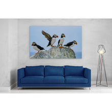 Load image into Gallery viewer, Atlantic Puffins on Rock