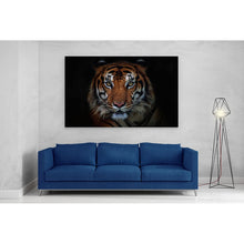 Load image into Gallery viewer, Sumatran Tiger Staring
