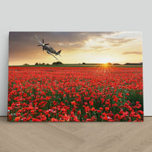 Load image into Gallery viewer, Spitfire at Sunset Poppy Field
