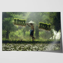 Load image into Gallery viewer, Rice Paddy Farmer Laos
