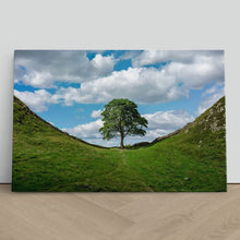 Load image into Gallery viewer, Sycamore Gap at Hadrian&#39;s Wall
