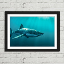 Load image into Gallery viewer, Great White Shark Jaws
