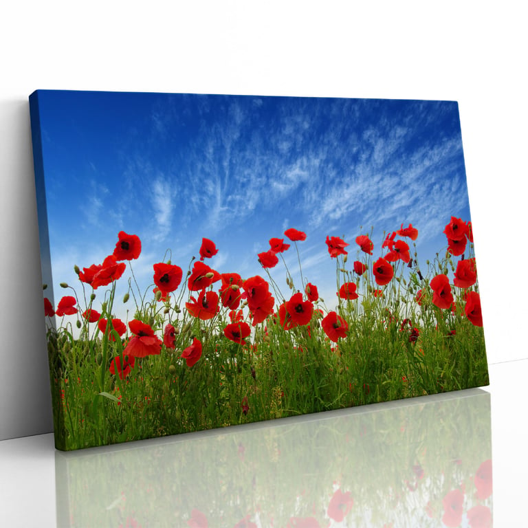 Red Poppies in Field