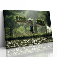 Load image into Gallery viewer, Rice Paddy Farmer Laos
