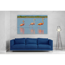 Load image into Gallery viewer, Flamingo in Rio Lagardos Mexico
