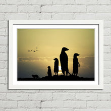 Load image into Gallery viewer, Meerkats at Sunset
