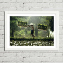 Load image into Gallery viewer, Rice Paddy Farmer Laos
