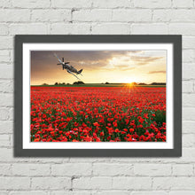 Load image into Gallery viewer, Spitfire at Sunset Poppy Field
