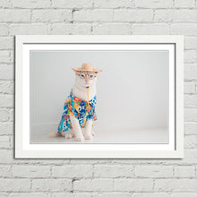 Load image into Gallery viewer, Cat on Holiday in Shirt Hat Funny Cute
