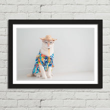 Load image into Gallery viewer, Cat on Holiday in Shirt Hat Funny Cute
