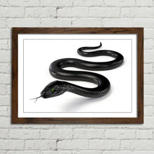 Load image into Gallery viewer, Black Snake with Forked Tongue
