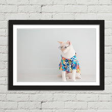 Load image into Gallery viewer, Cat in Shirt Glasses Holiday Funny Cute
