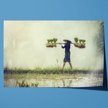 Load image into Gallery viewer, Farmer Rice in Rainy Season Vietnam
