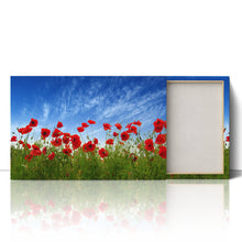 Load image into Gallery viewer, Red Poppies in Field
