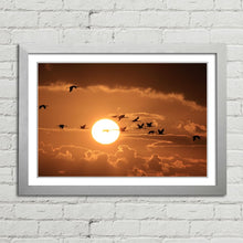 Load image into Gallery viewer, Cranes Flying at Sunset
