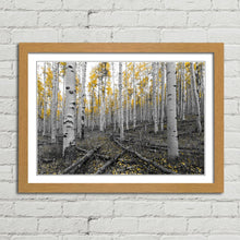 Load image into Gallery viewer, Yellow Tree Forest Scene
