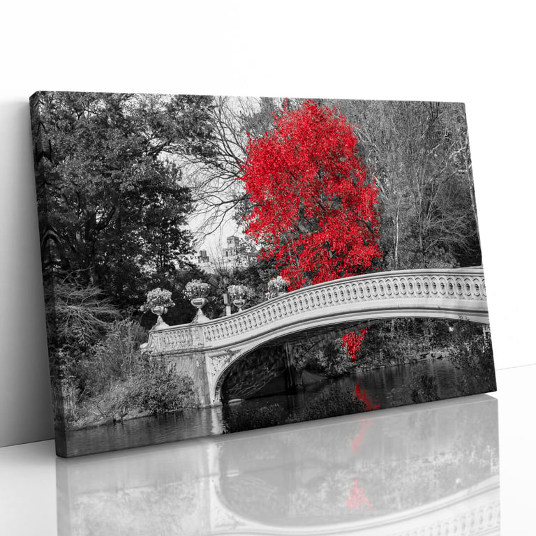 Red Tree Central Park Bridge New York