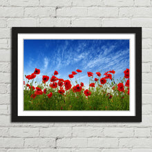 Load image into Gallery viewer, Red Poppies in Field
